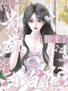 ����ѧԺ���Ļ�С�׻�������F4