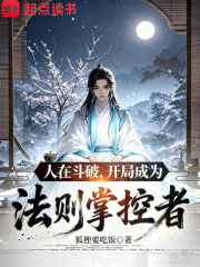 人在斗破,开局成为法则掌控者