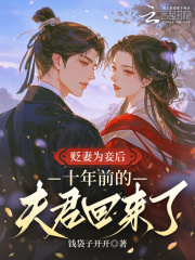 贬妻为妾后,十年前的夫君回来了