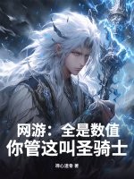 网游:全是数值,你管这叫圣骑士?