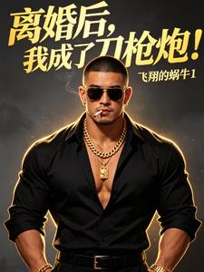 离婚后,我成了刀枪炮!