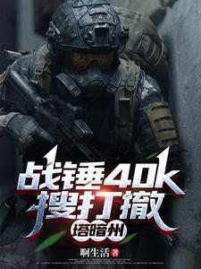 战锤40k搜打撤,塔暗州